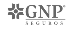 Logo Gnp PROAS Grupo