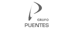 Logo Grupo Puentes PROAS Grupo