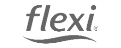 Logo Flexi PROAS Grupo