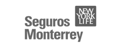 Logo Seguros Monterrey PROAS Grupo